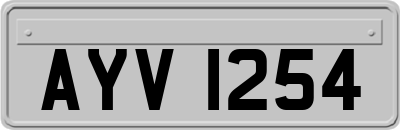 AYV1254