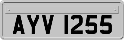 AYV1255