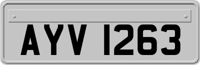 AYV1263