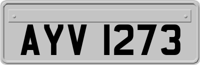 AYV1273