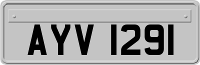 AYV1291