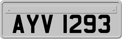 AYV1293