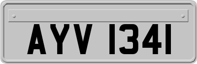 AYV1341