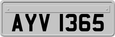 AYV1365