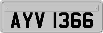 AYV1366