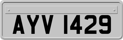 AYV1429
