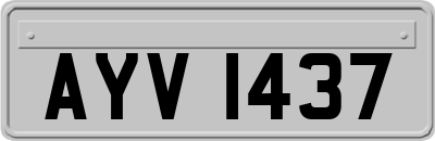 AYV1437