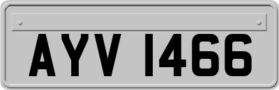AYV1466
