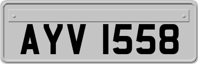 AYV1558