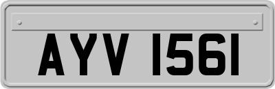 AYV1561