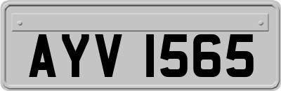 AYV1565