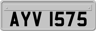 AYV1575