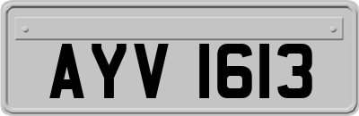 AYV1613