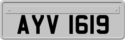 AYV1619