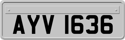 AYV1636
