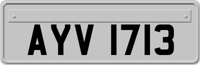 AYV1713