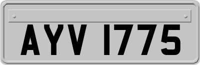 AYV1775
