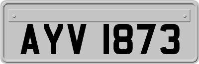 AYV1873