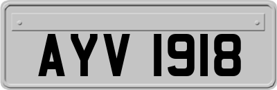 AYV1918