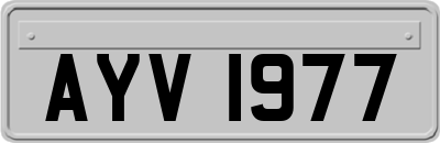 AYV1977