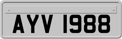 AYV1988