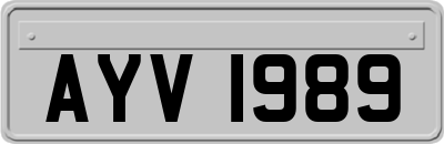 AYV1989