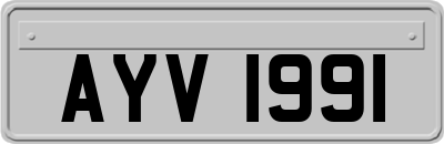 AYV1991
