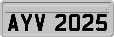 AYV2025