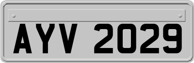 AYV2029