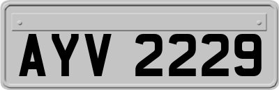 AYV2229