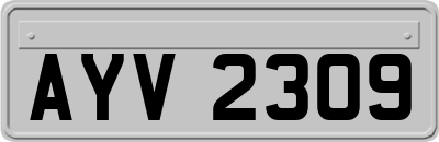 AYV2309