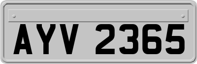 AYV2365
