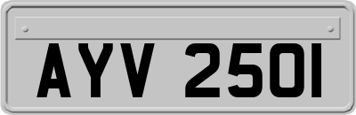 AYV2501