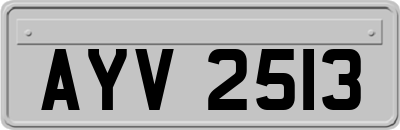 AYV2513