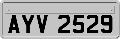AYV2529