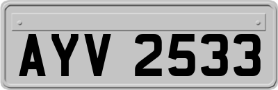 AYV2533