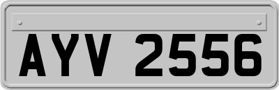 AYV2556