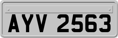 AYV2563