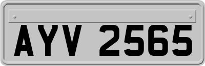 AYV2565