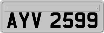 AYV2599