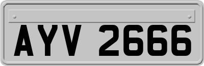 AYV2666
