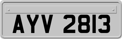 AYV2813