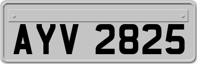 AYV2825