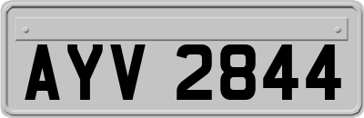 AYV2844