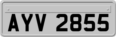 AYV2855