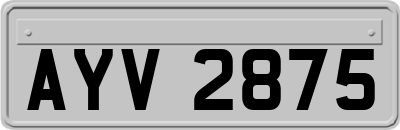 AYV2875