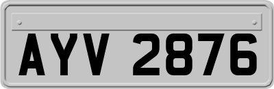 AYV2876