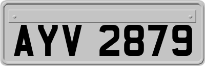 AYV2879