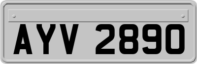 AYV2890