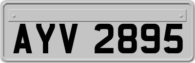 AYV2895